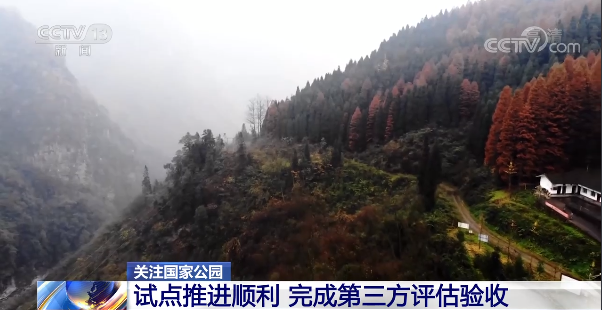 金年会平台入口野生动物、热带雨|黒崎|林……第一批国家公园你期待吗？