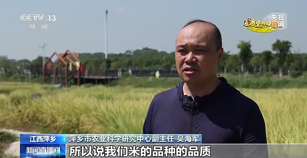 北玉米南水稻 藜麦也来凑热闹 共绘金秋好“丰”貌(图13)