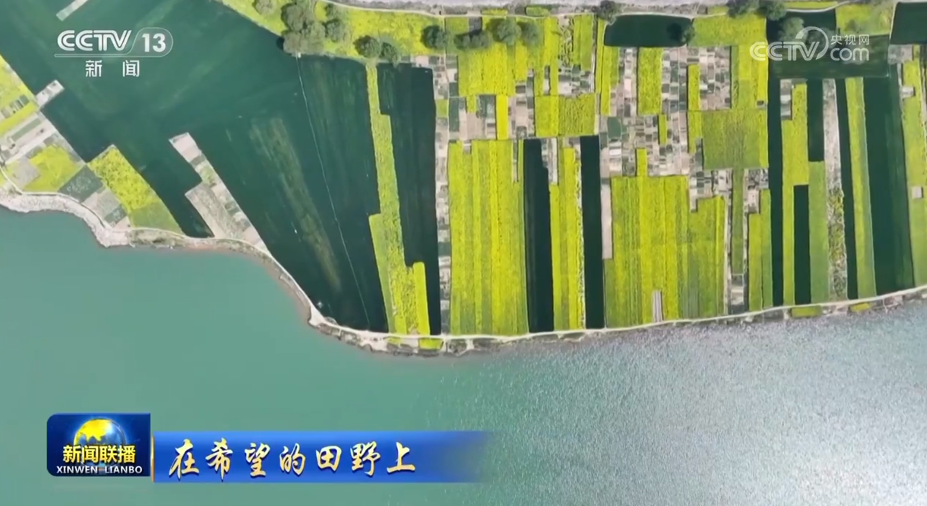 上田良介：活動期記録
