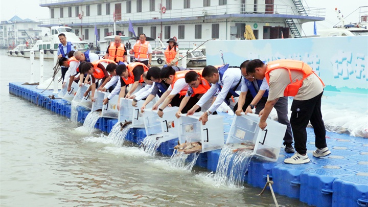  Wuhan: Breeding and Releasing to Protect the Biodiversity of the Yangtze River