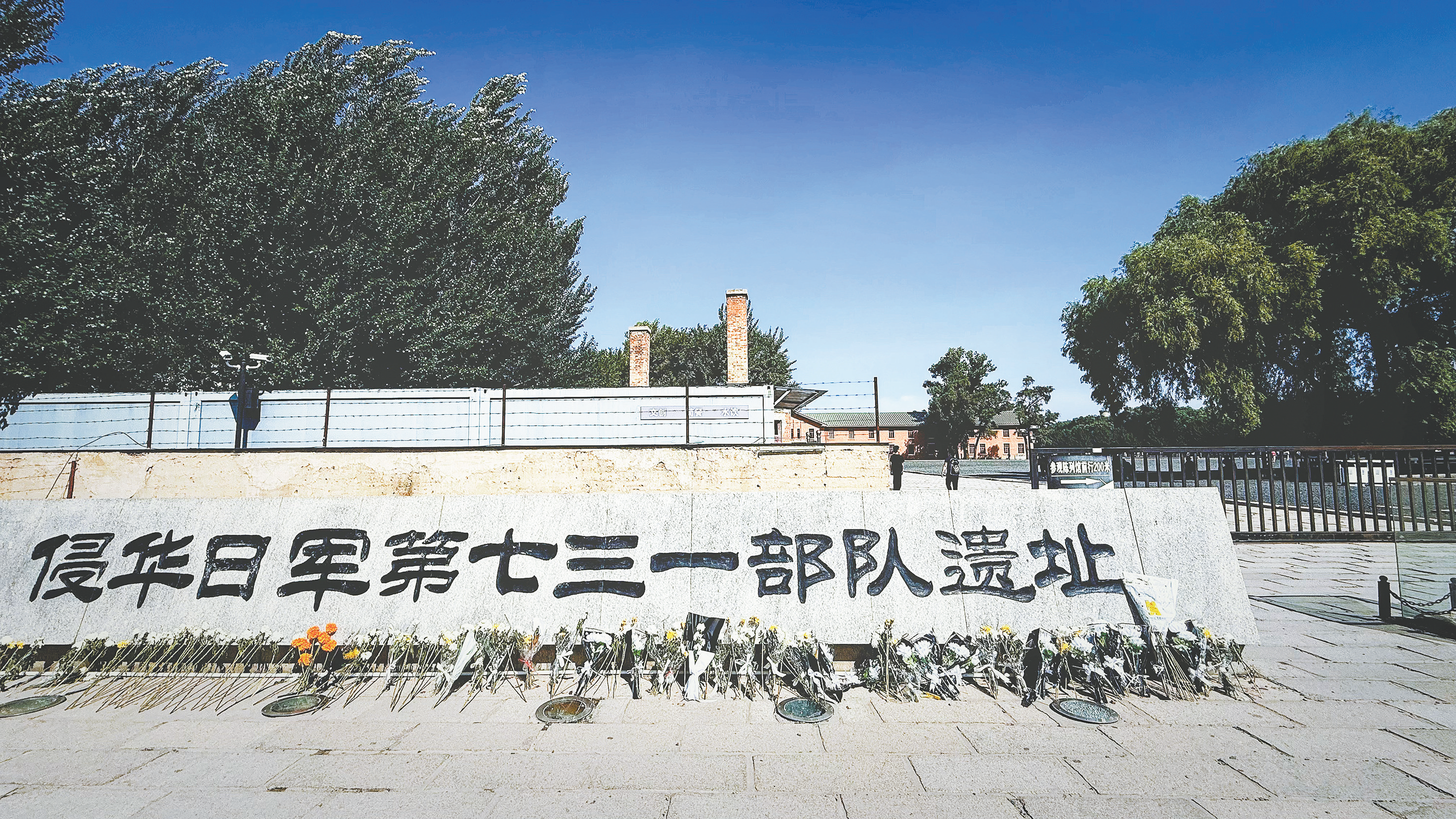 在东南亚设立多处基地，为细菌战培育大量疫蚤，多国人士揭批731部队跨国罪行