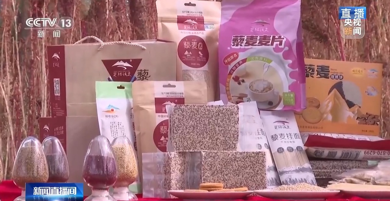 北玉米南水稻 藜麦也来凑热闹 共绘金秋好“丰”貌(图20)
