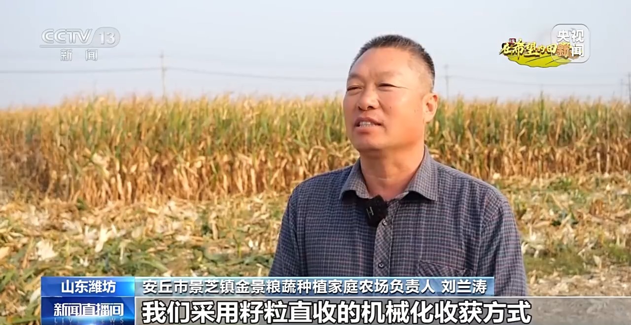 北玉米南水稻 藜麦也来凑热闹 共绘金秋好“丰”貌(图8)