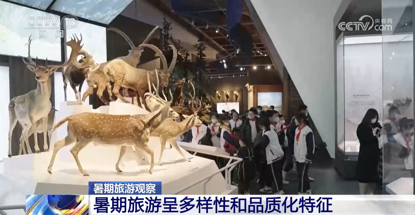 解锁暑期旅游的“N”种打开方式 研学游、生态游热度高(图1)