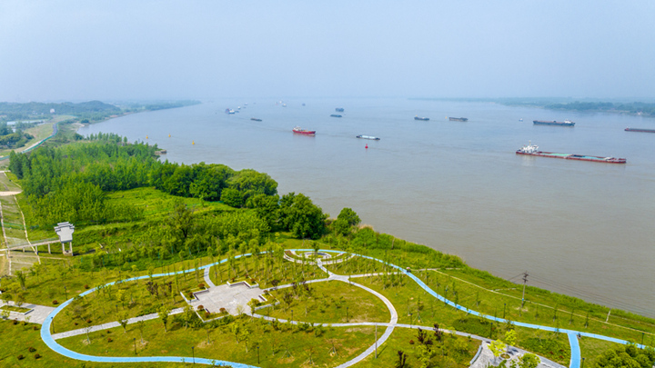 安徽芜湖：长江岸线水清岸绿景美