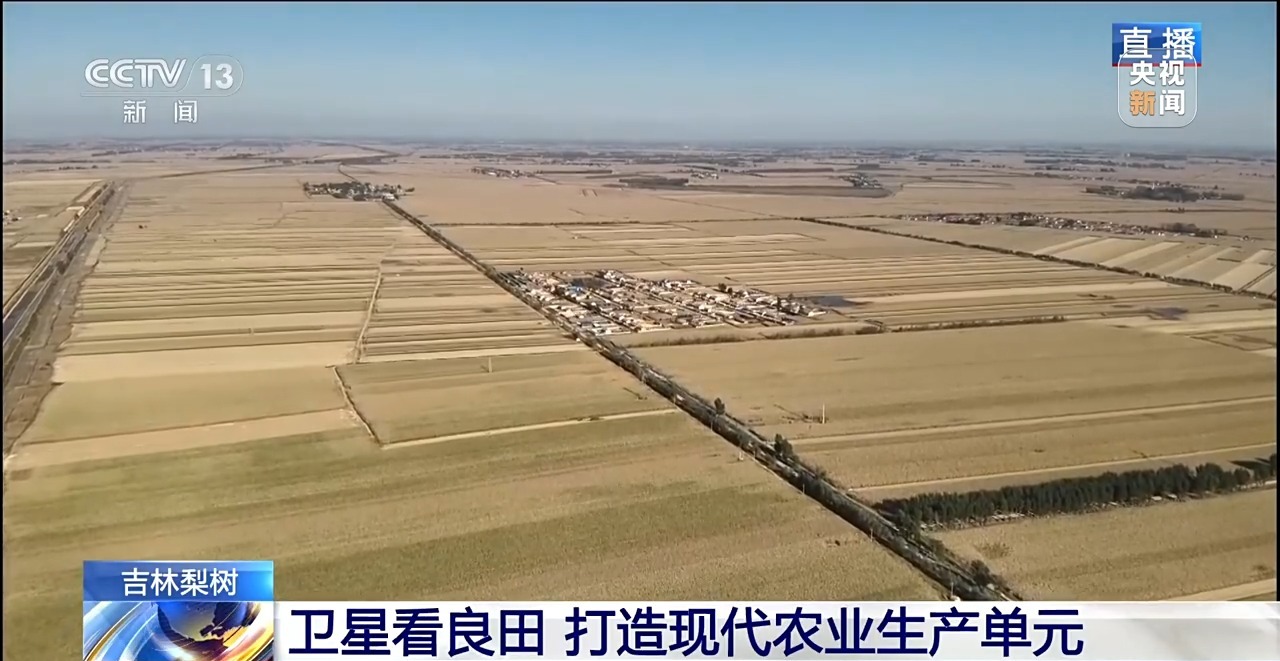 北玉米南水稻 藜麦也来凑热闹 共绘金秋好“丰”貌(图2)