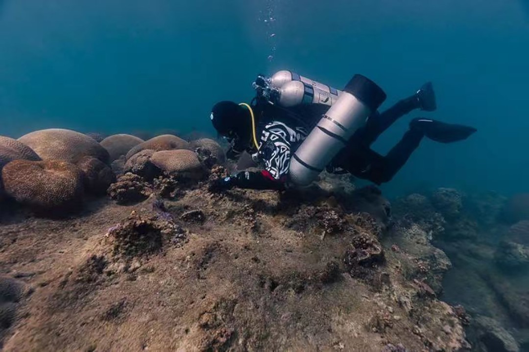 世界海洋日与亿角鲸一起共度BLUE UP蔚蓝力量「我与海洋的12小时」(图2)