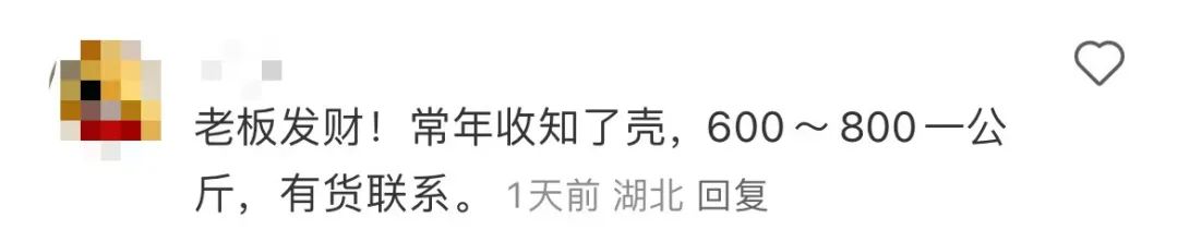 正大量出现！有人报价950一公斤有人直呼吓死了……(图4)