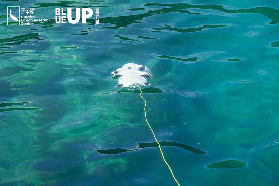 世界海洋日与亿角鲸一起共度BLUE UP蔚蓝力量「我与海洋的12小时」