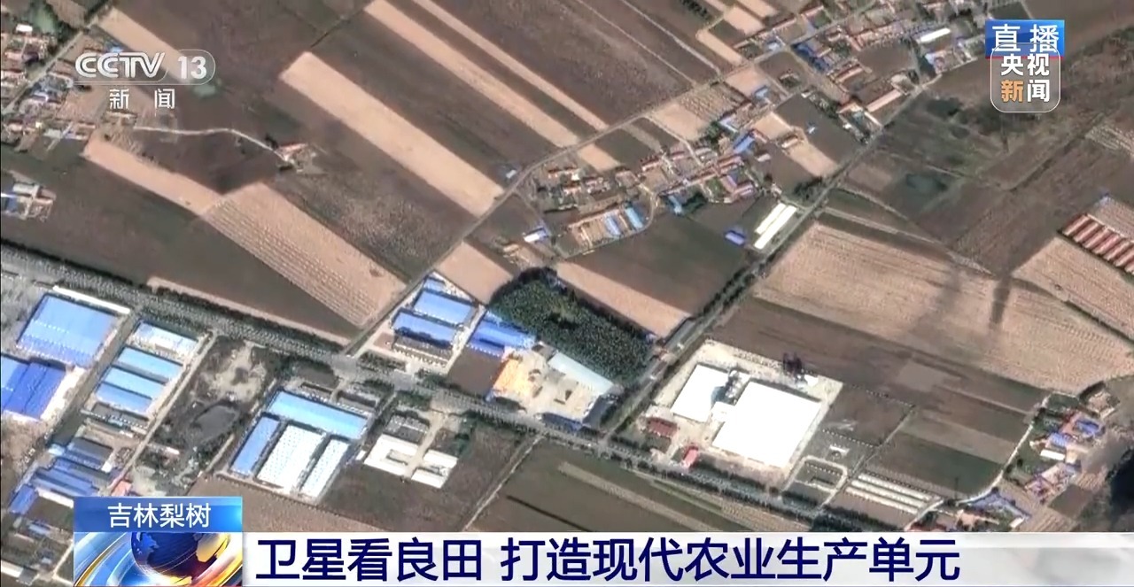 北玉米南水稻 藜麦也来凑热闹 共绘金秋好“丰”貌(图1)