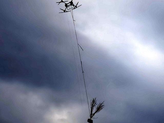 无人机“飞天种树”！