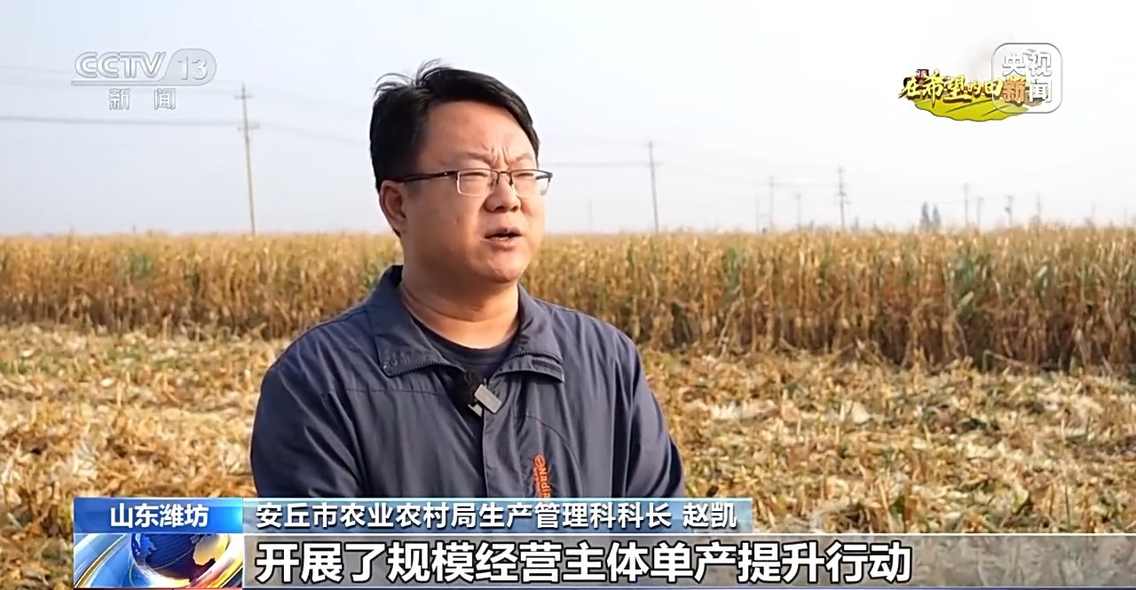 北玉米南水稻 藜麦也来凑热闹 共绘金秋好“丰”貌(图10)