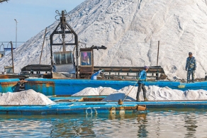 河北唐山：盐场工人将收获的春盐装船