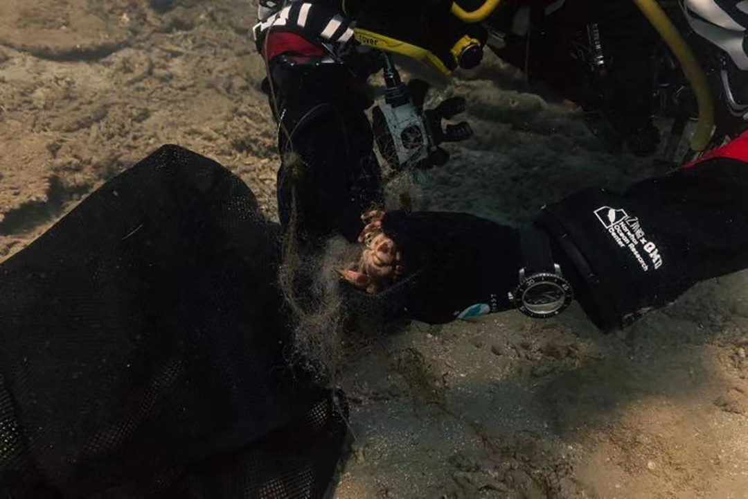 世界海洋日与亿角鲸一起共度BLUE UP蔚蓝力量「我与海洋的12小时」(图3)