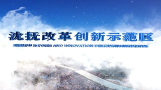 沈抚改革创新示范区