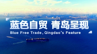山东自贸区青岛片区
