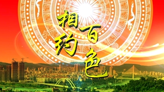 百色