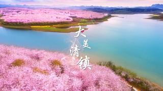 清镇