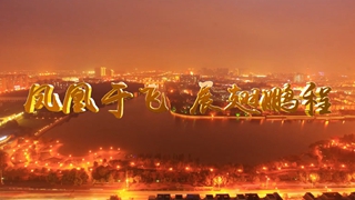 海陵工业园区