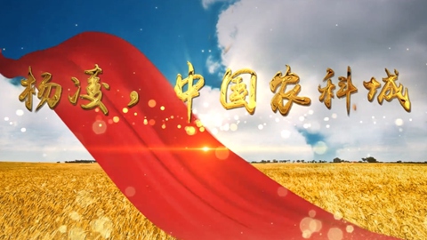 杨凌示范区