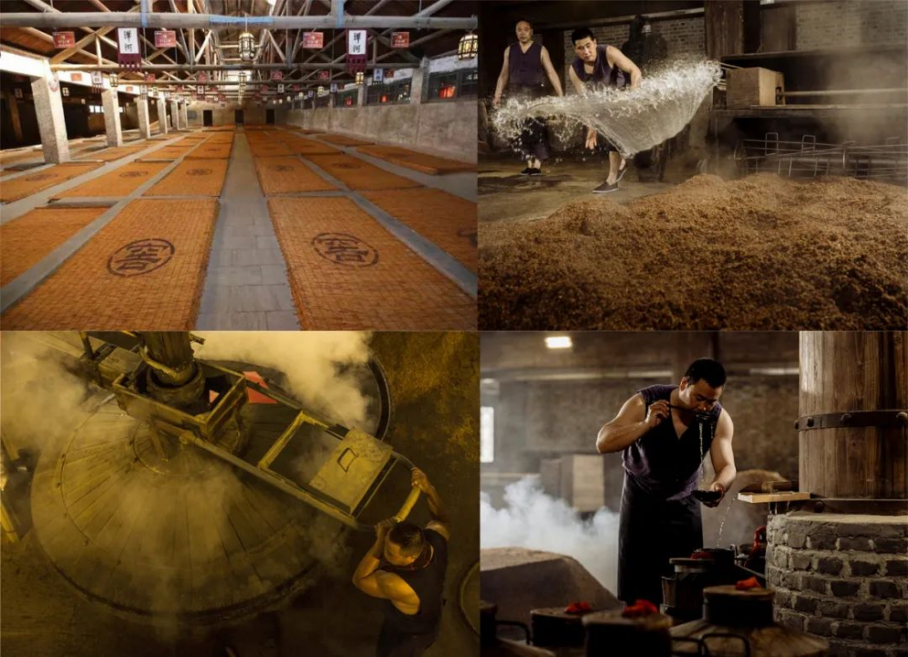 飞天逐梦！洋河“元宇宙展馆”震撼上线！