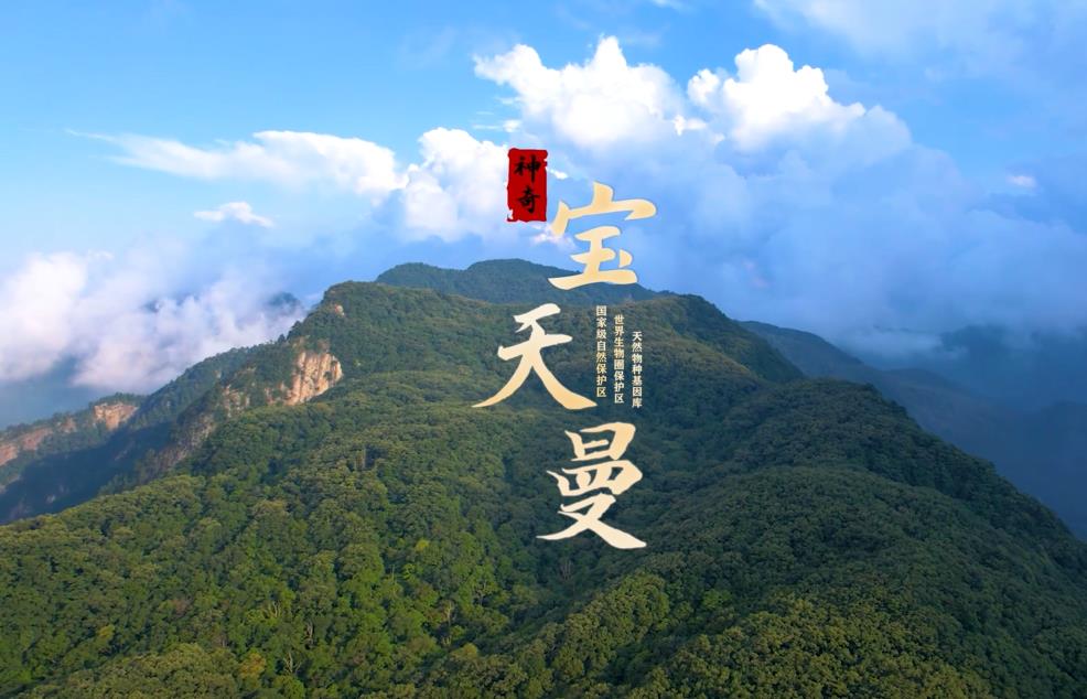 宝天曼生态旅游区——