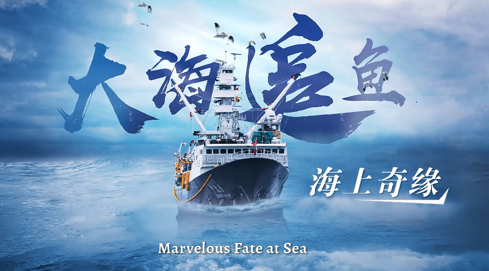 《大海追鱼——海上奇缘》