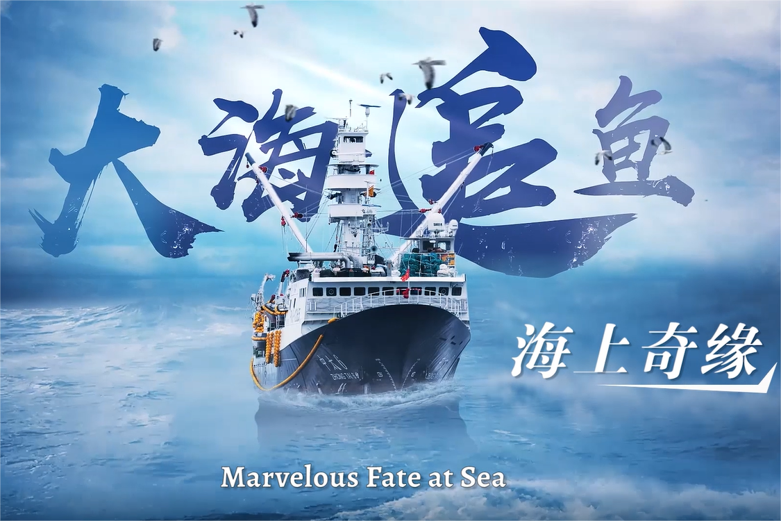  福建“丝路伙伴”计划 与共建“一带一路”国家“硬联通”“软联通”“心联通”