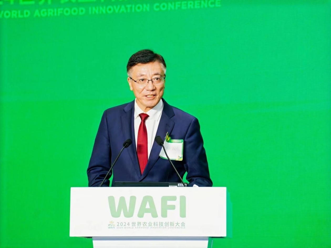 2024WAFI｜孙其信：持续通过创新应对全球气候变化