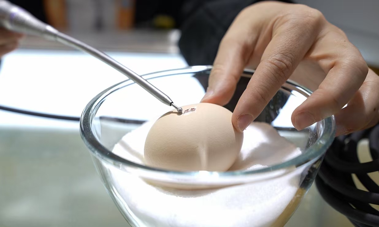 用鲜鸡蛋模拟外科医生做手术！