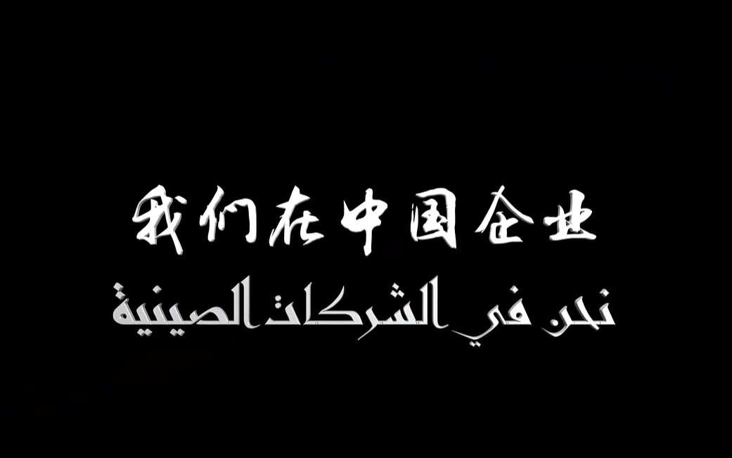 《我们在中国企业》