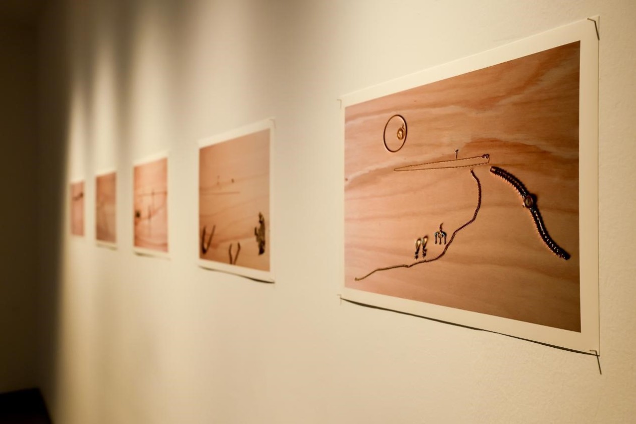法国艺术家伊莎贝尔·科纳罗在京首开个展