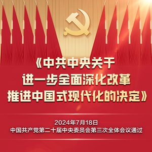 一图全解二十届三中全会《决定》