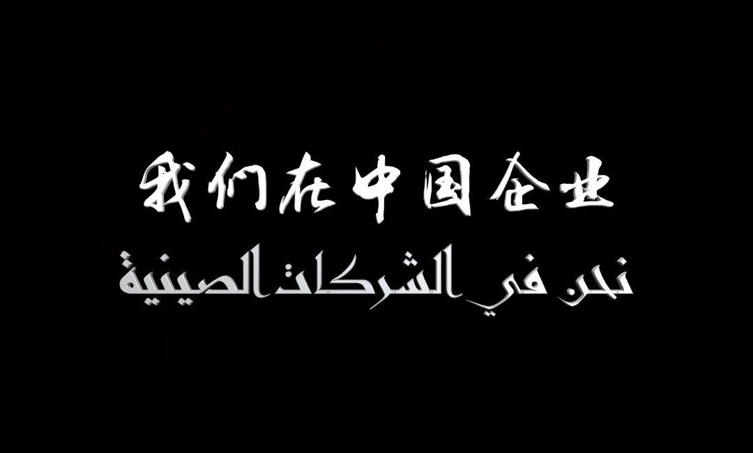 We are in Chinese Enterprises