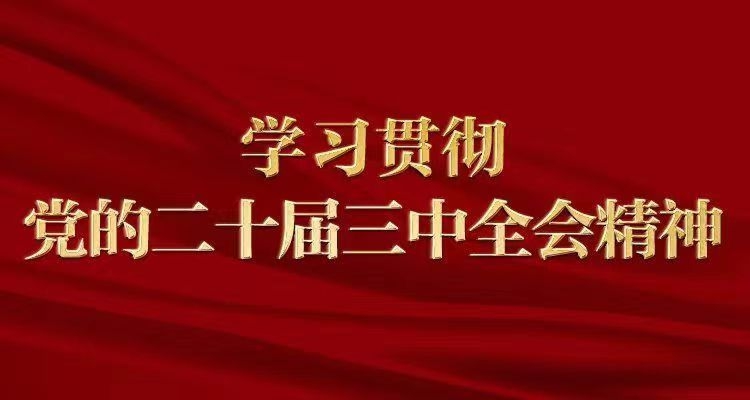 <b>广大党员干部学习贯彻党的二十届三中全会精神奋战一线</b>