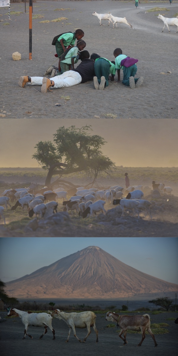 火山下的和谐：中非友谊的见证