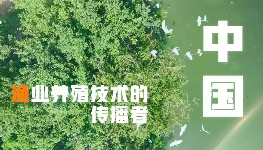 未来塘主