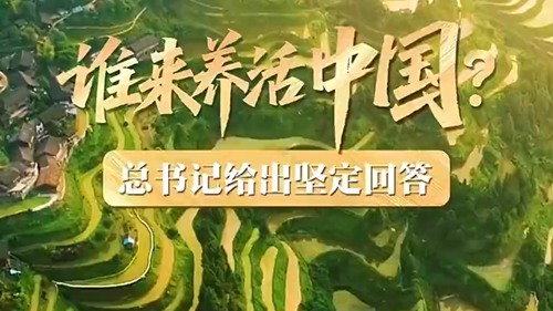 谁来养活中国？总书记给出坚定回答