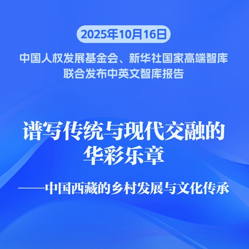 《谱写传统与现代交融的华彩乐章——中国西藏的乡村发展与文化传承》智库报告发布
