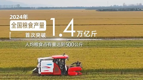 粮食安全：习近平心中的头等大事