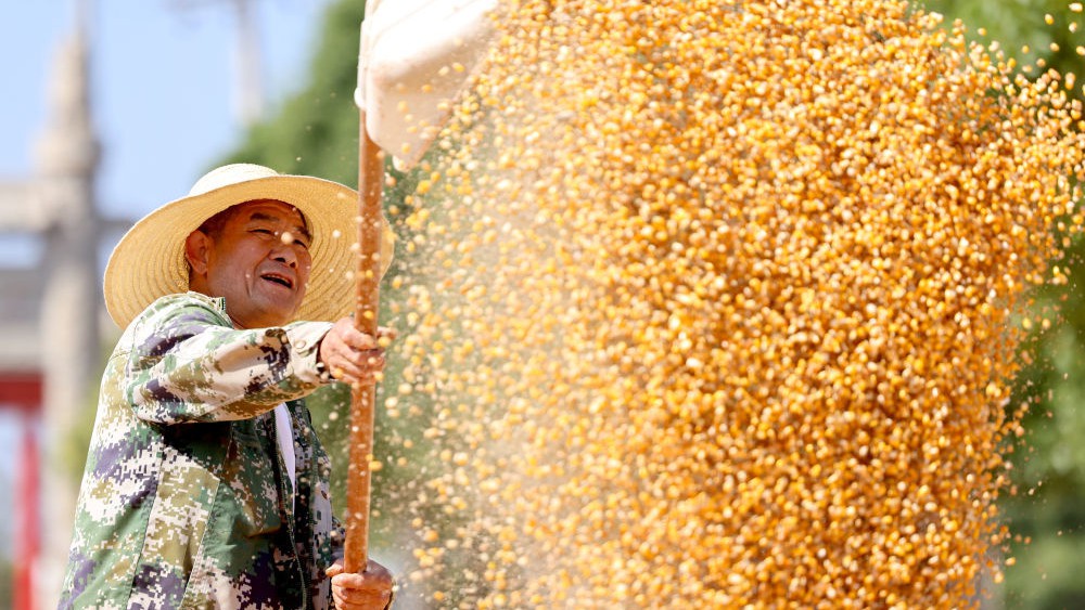 镜观中国｜良田舒卷！夯牢中国饭碗新底气