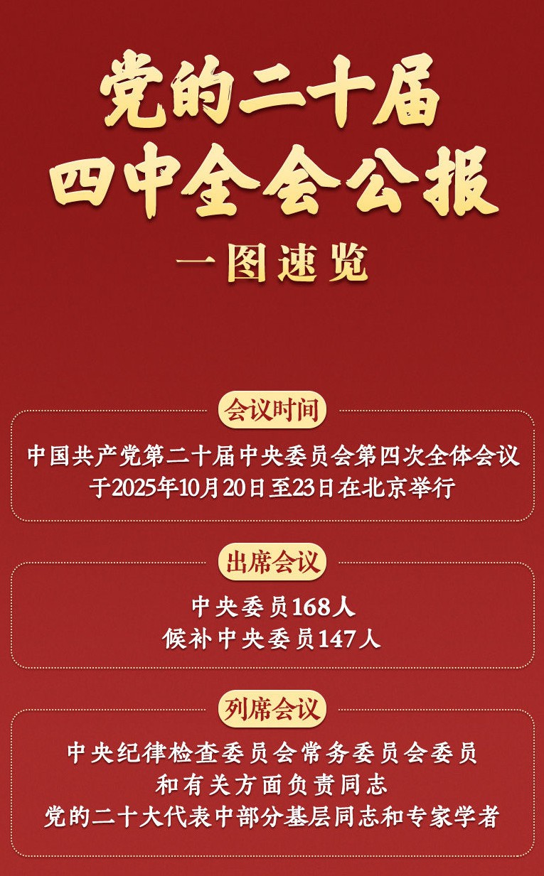 学习新语｜党的二十届四中全会公报一图速览