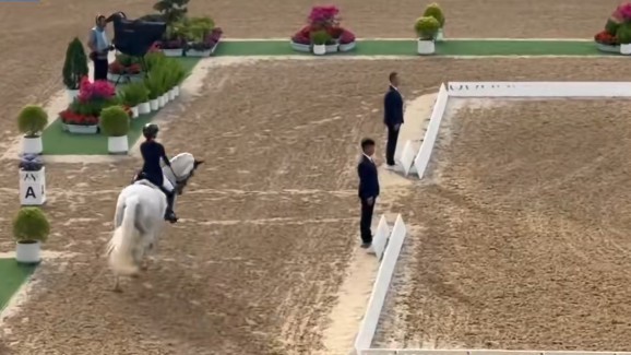 湾区“全”时刻丨在大湾区 马为啥越跑越快？