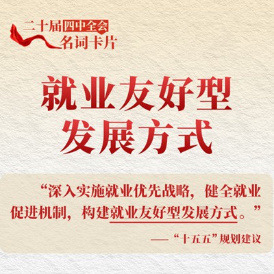 二十届四中全会名词卡片：就业友好型发展方式