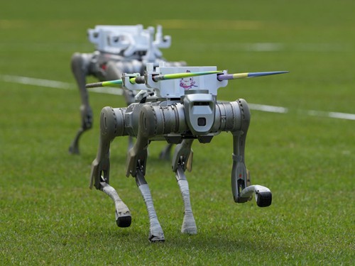 全运会的“机器人总动员”，让我们看见未来