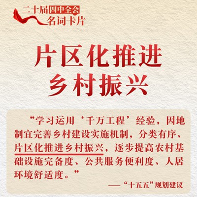 二十届四中全会名词卡片：片区化推进乡村振兴