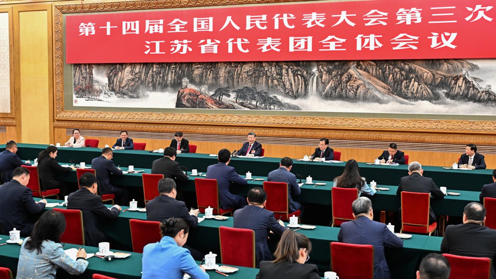 一见·总书记为何关注代表委员通道？