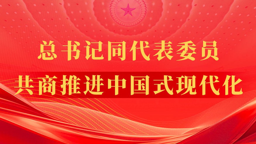 总书记同代表委员共商推进中国式现代化