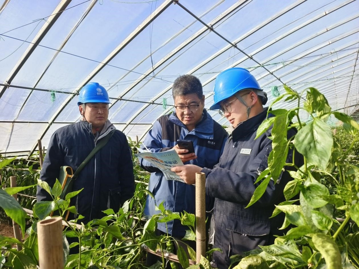 Xuchang, Henan: Power Infrastructure Prepares the Ground for China’s Seed Industry