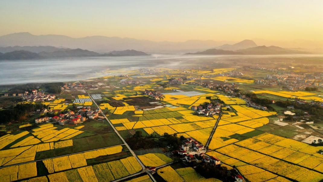 第112届全国糖酒会“百县千品万家福”专区正式启动，激活县域经济发展进阶力